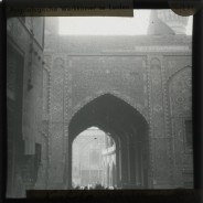 Böhl glass slide 12./242